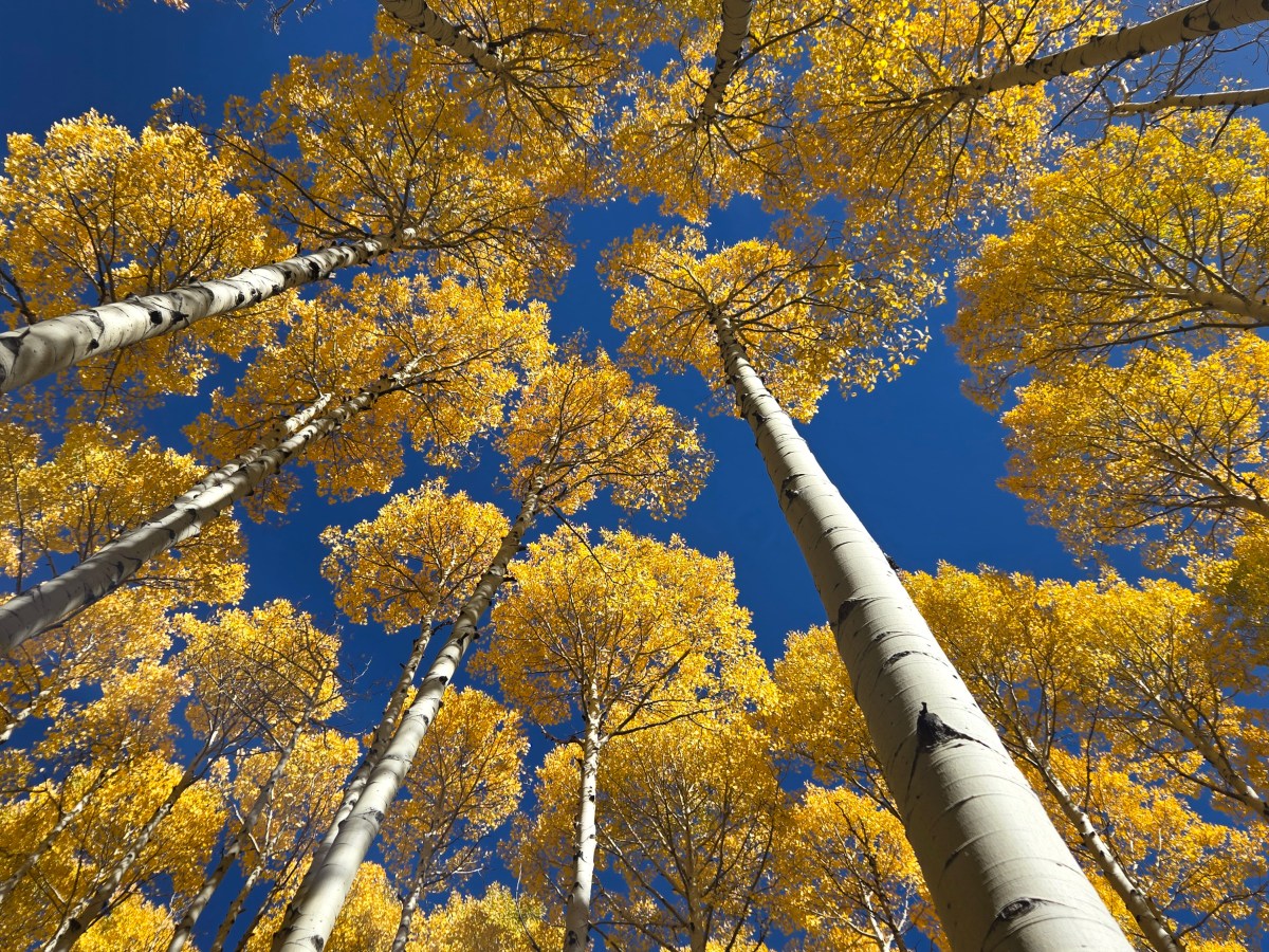 Flagstaff (& more),&nbsp;Arizona
